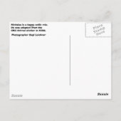 Nicholas Postkarte (Rückseite)