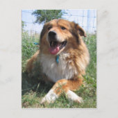 Nicholas Postkarte (Vorderseite)