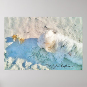 Nicholas u. Freund Poster