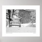 Nichols Arboretum #1 Poster (Vorne)