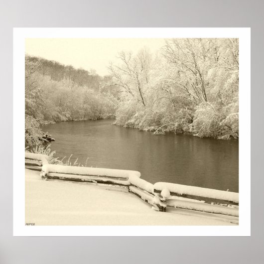 Nichols Arboretum Poster (Vorne)