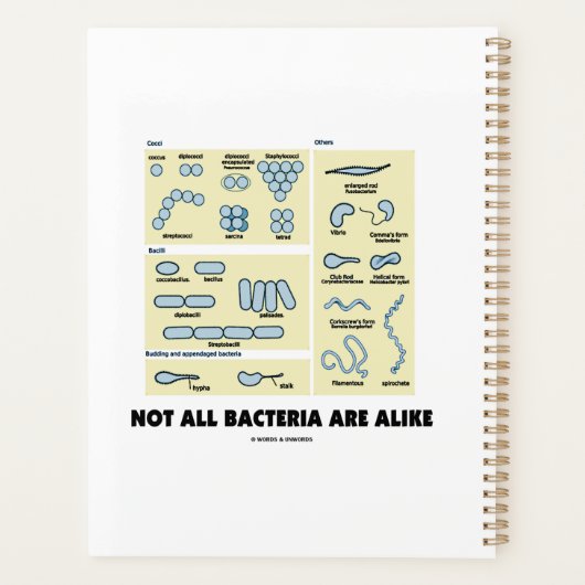 Nicht alle Bakterien ähneln der bakteriellen Morph Planer (Rückseite)