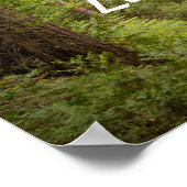 Nicht alle, die Wander verloren haben Poster (Ecke)