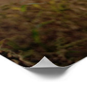 Nicht alle, die wandern, sind verloren poster (Ecke)