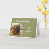 Nicht ältere Spaß Bulldog Gruß Karte (Gelbe Blume)