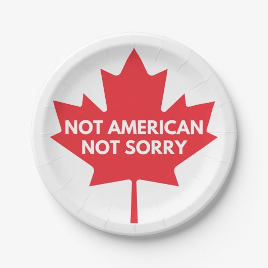 Nicht amerikanisch, keine Entschuldigung Papierpla Pappteller (Vorderseite)
