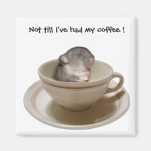 Nicht bis ich meinen Kaffee Magneten gehabt habe Magnet