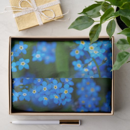 Nicht-Blumenzwiebelpapier Seidenpapier (Geschenk)