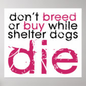 Nicht brüten oder kaufen poster (Vorne)