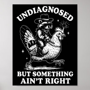 Nicht diagnostiziert, aber irgendetwas stimmt nich poster
