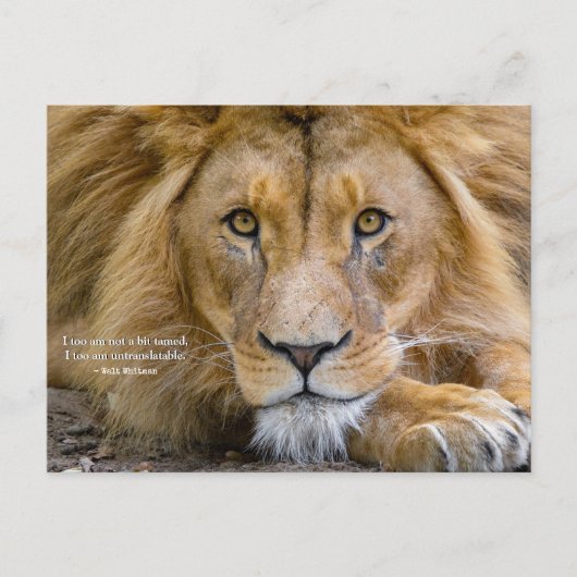 Nicht ein bisschen gezähmt - Motivierend Zitat + I Postkarte (Vorderseite)