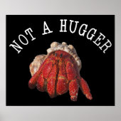 Nicht ein Hugger Funny Hermit Crab Poster (Vorne)