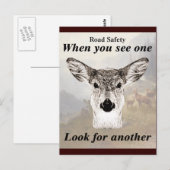 Nicht ein Rotwild Postkarte (Vorne/Hinten)