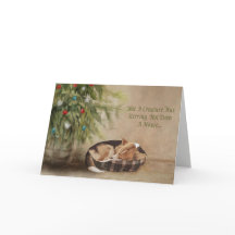 Nicht eine Kreatur, die Corgi hervorbrachte