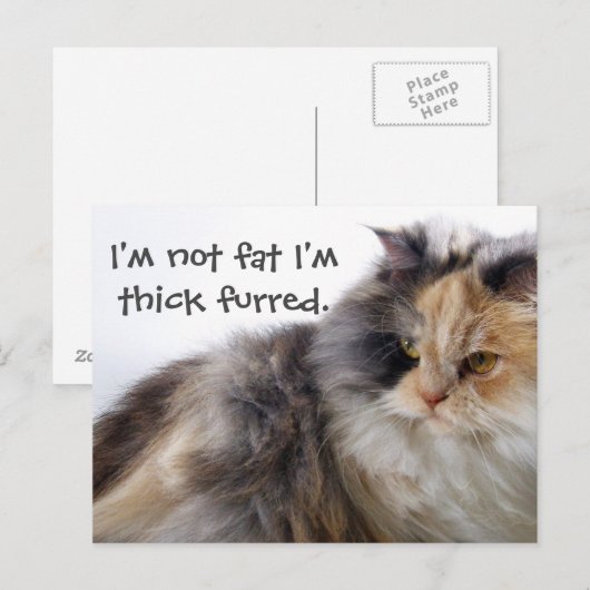 Nicht fett! Thick Furred Postkarte (Vorne/Hinten)