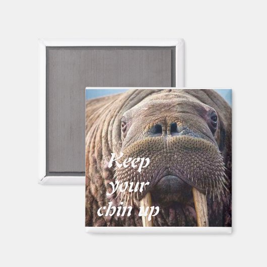 Nicht gut Beileid Karte: Hospice oder Krankheit Magnet (Vorderseite/Rückseite)