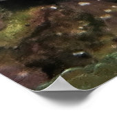 Nicht gut versteckter Froschfisch Poster (Ecke)