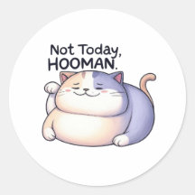 Nicht heute, Hooman Lazy Cat Sticker