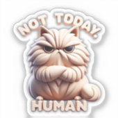 Nicht heute, humane Grumpe Cat Vinyl Sticker (Vorderseite)