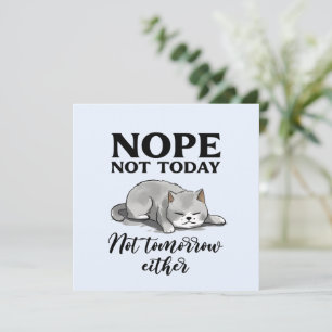Nicht heute, nicht morgen - Schlaflose Katze