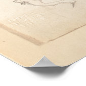 [nicht identifizierte Starling]. 1835 , Lear, Edwa Poster (Ecke)