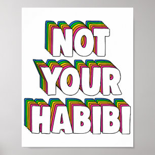 Nicht Ihr Habibi Poster