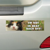 Nicht in der Hitze, zurück von Calico Cat Meme Autoaufkleber (Auf Auto)