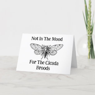 Nicht in der Stimmung für die Cicada Broods Karte