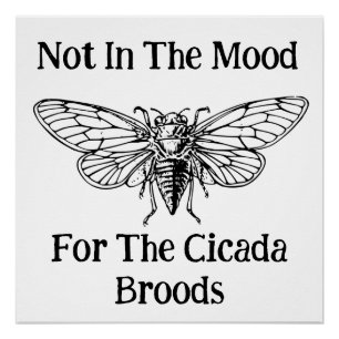 Nicht in der Stimmung für die Cicada Broods Poster