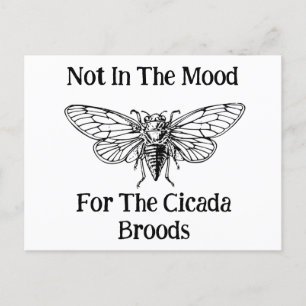 Nicht in der Stimmung für die Cicada Broods Postkarte