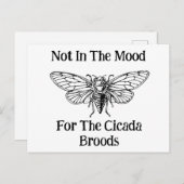 Nicht in der Stimmung für die Cicada Broods Postkarte (Vorne/Hinten)