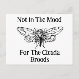 Nicht in der Stimmung für die Cicada Broods Postkarte