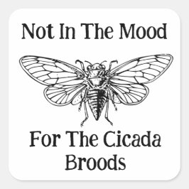 Nicht in der Stimmung für die Cicada Broods Quadratischer Aufkleber