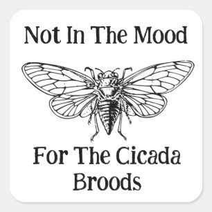 Nicht in der Stimmung für die Cicada Broods Quadratischer Aufkleber