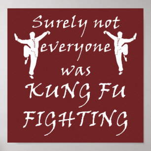 Nicht jeder kämpfte Kung Fu Poster