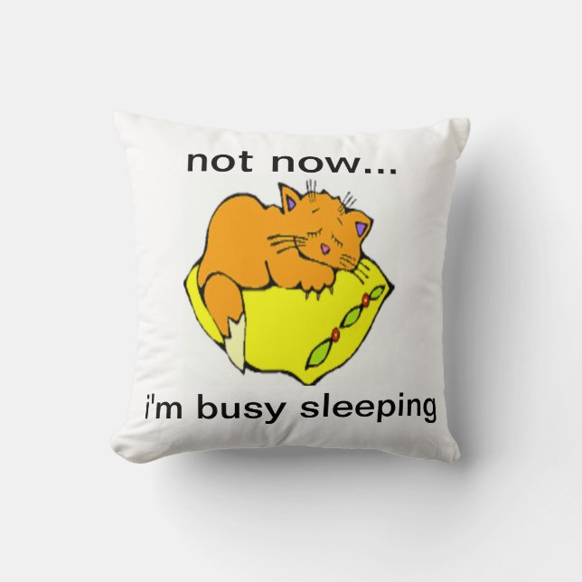 NICHT JETZT... ICH SCHLAFE. KISSEN (Vorderseite)