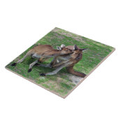 Nicht jetzt Skippy Fliese (Seite)