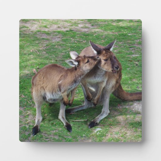 Nicht jetzt Skippy Fotoplatte (Vorderseite)