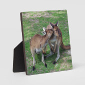 Nicht jetzt Skippy Fotoplatte (Vorderseite)