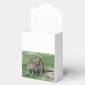 Nicht jetzt Skippy Geschenkschachtel (Geöffnet)