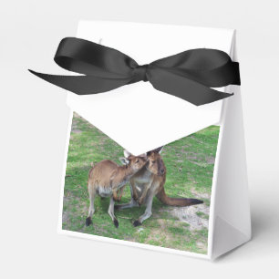 Nicht jetzt Skippy Geschenkschachtel