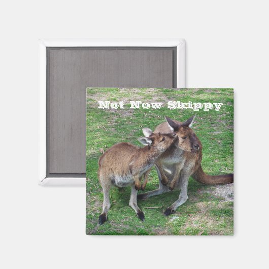 Nicht jetzt Skippy Magnet (Vorderseite/Rückseite)