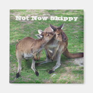 Nicht jetzt Skippy Magnet