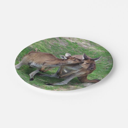 Nicht jetzt Skippy Pappteller (Schrägansicht)