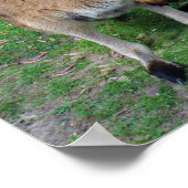 Nicht jetzt Skippy Poster (Ecke)