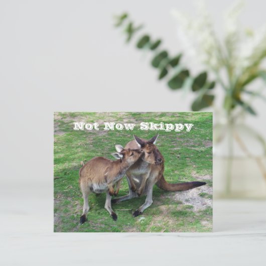 Nicht jetzt Skippy Postkarte (Stehend Vorderseite)