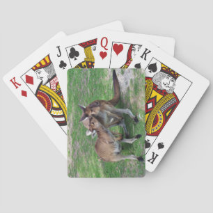 Nicht jetzt Skippy Spielkarten