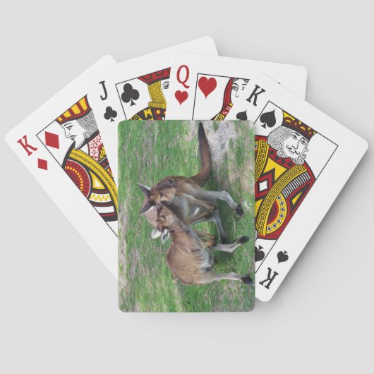 Nicht jetzt Skippy Spielkarten (Rückseite)