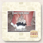 Nicht jetzt sprechen, kann Chefkampf Untersetzer (Vorderseite)