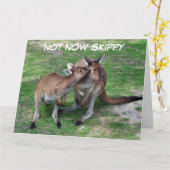 Nicht jetzt überspringen Sie die leere Grußkarte Karte (Gelbe Blume)